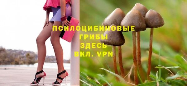 спиды Аркадак