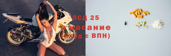 спиды Аркадак