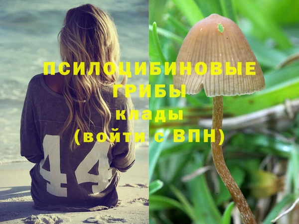 спиды Аркадак