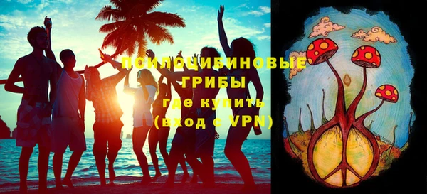 спиды Аркадак