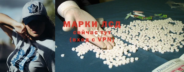 спиды Аркадак