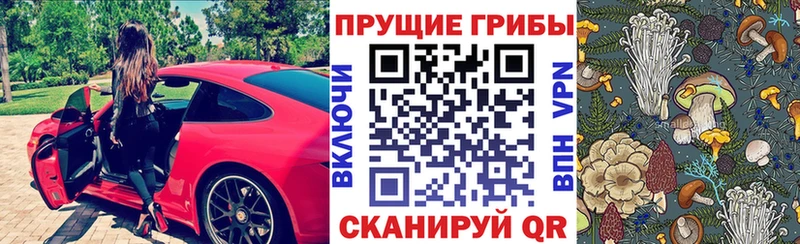это состав  наркошоп  Руза  Псилоцибиновые грибы Psilocybe  mega как войти 